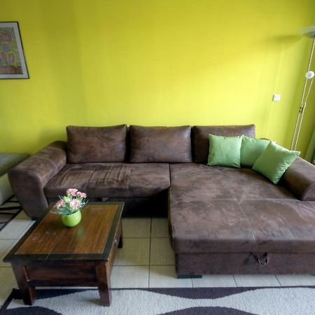 Ferienwohnung Neagu Mit 2 Apartements Winterberg Eksteriør billede